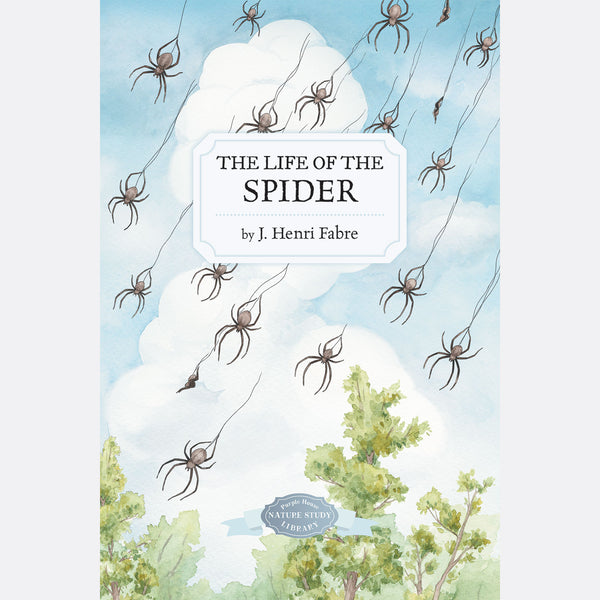 spider plant book Life of the Spider