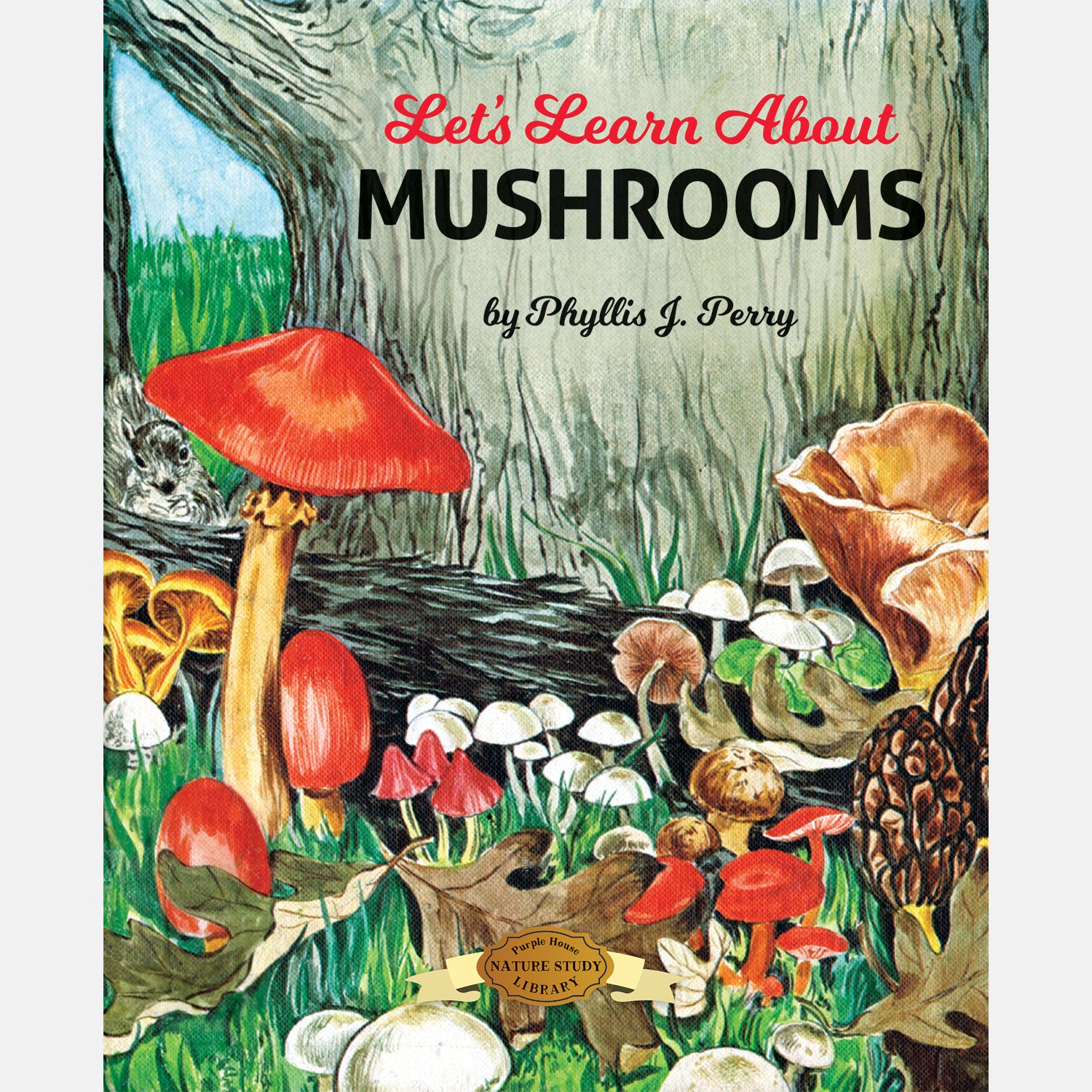 洋書 Mushrooms Let's Learn About Mushrooms - Phyllis J. Perry – Purple House