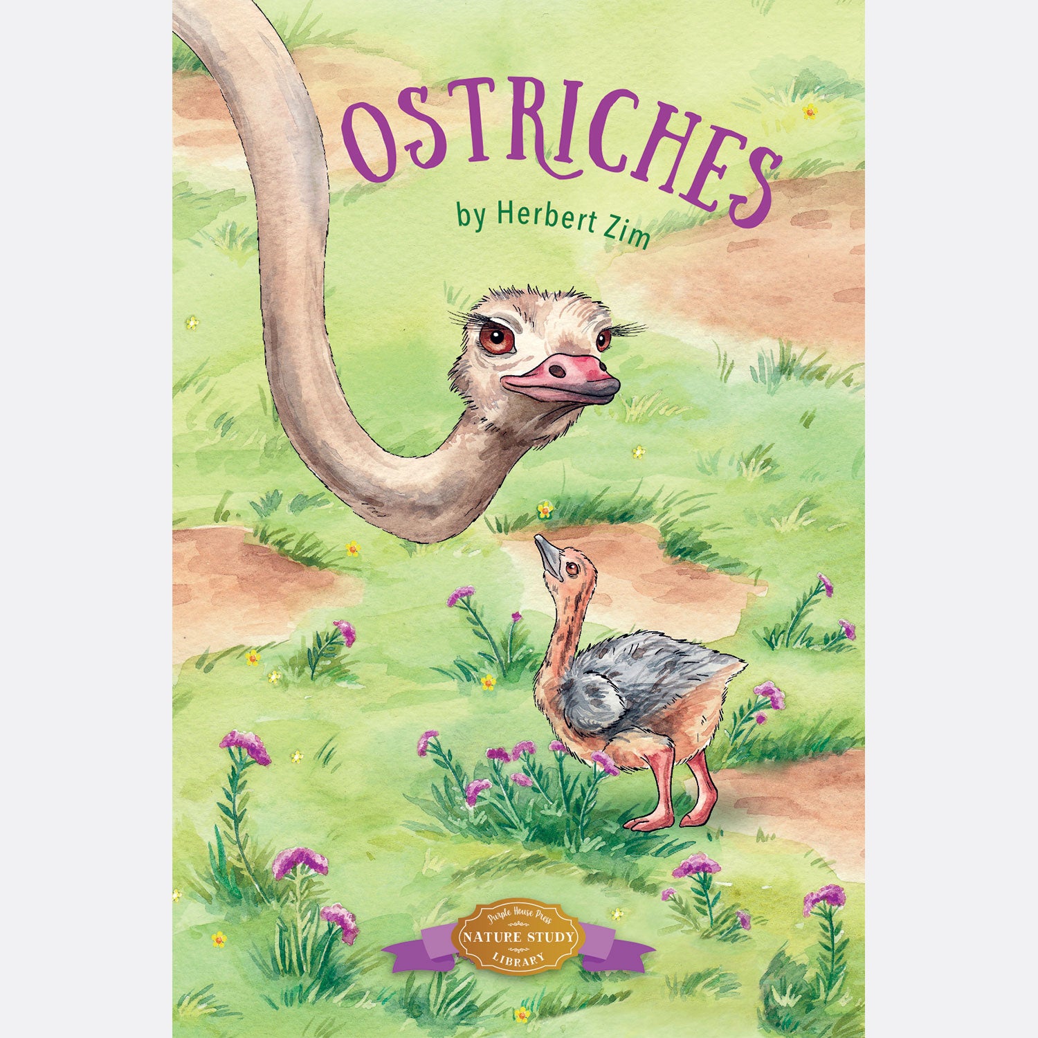 Ostriches - Herbert Zim – Purple House Press — Classic Books for Kids